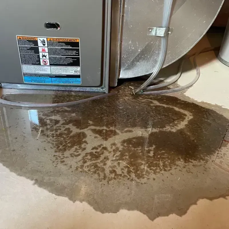 Appliance Leak Cleanup in Coarsegold, CA